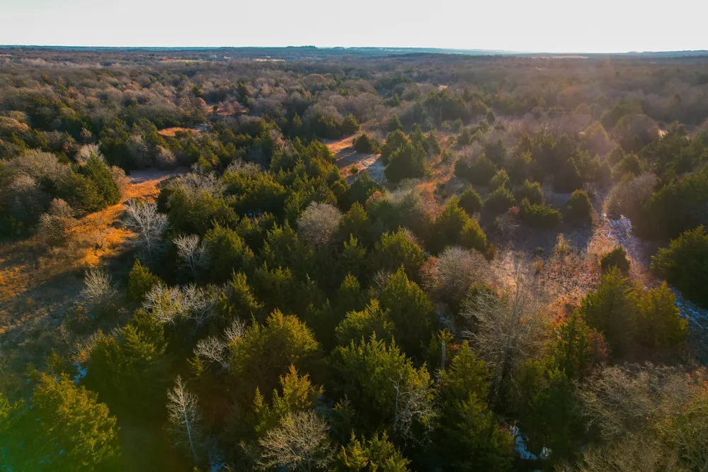 Dye Mound Rd Forestburg, TX 76239