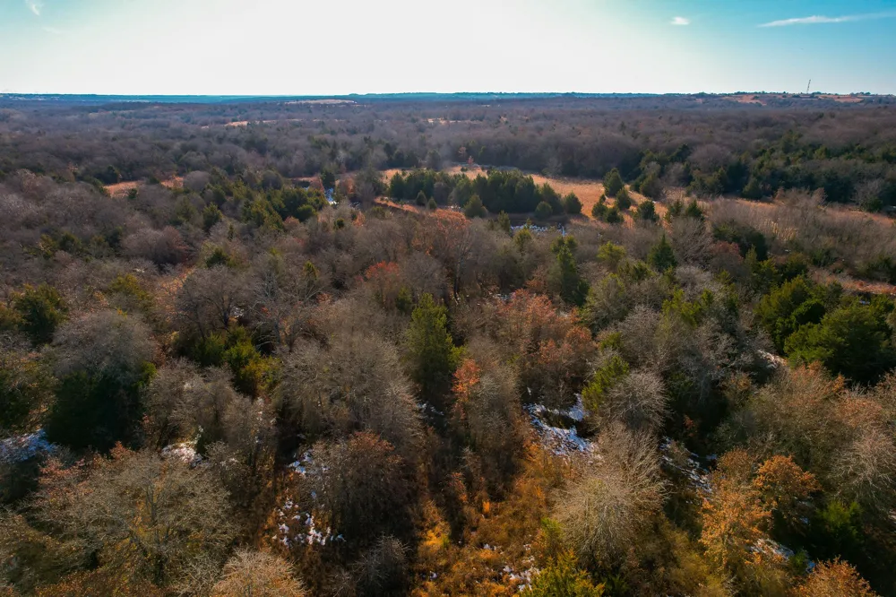 Dye Mound Rd Forestburg, TX 76239