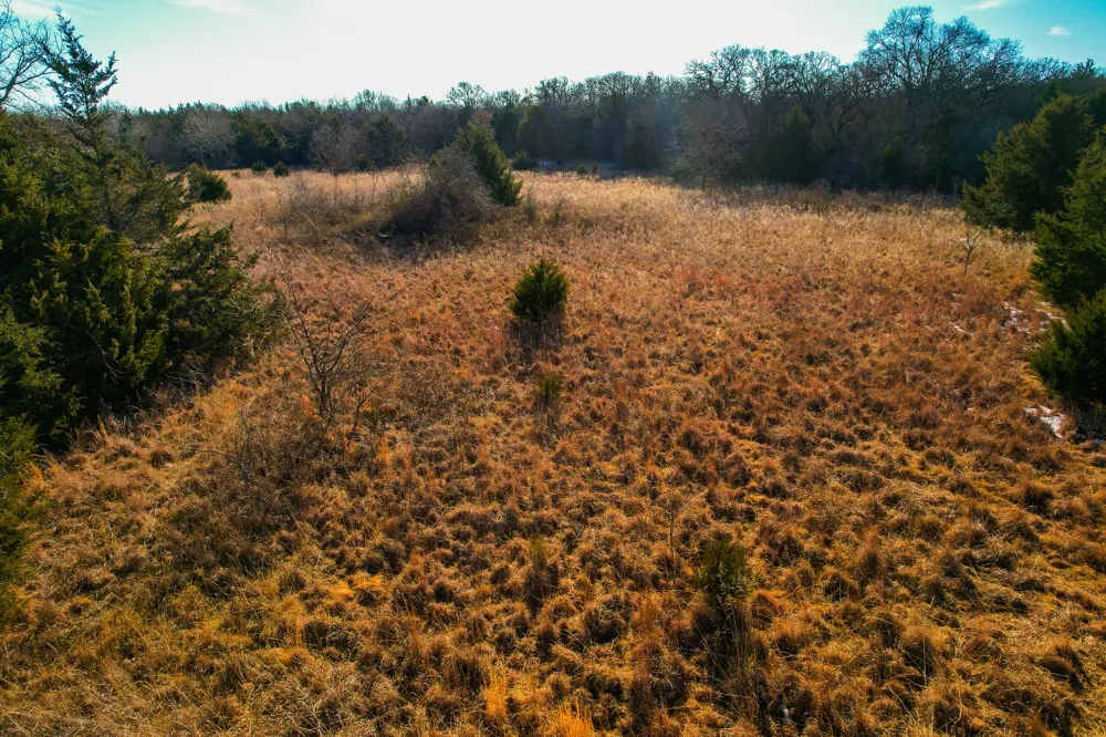 Dye Mound Rd Forestburg, TX 76239