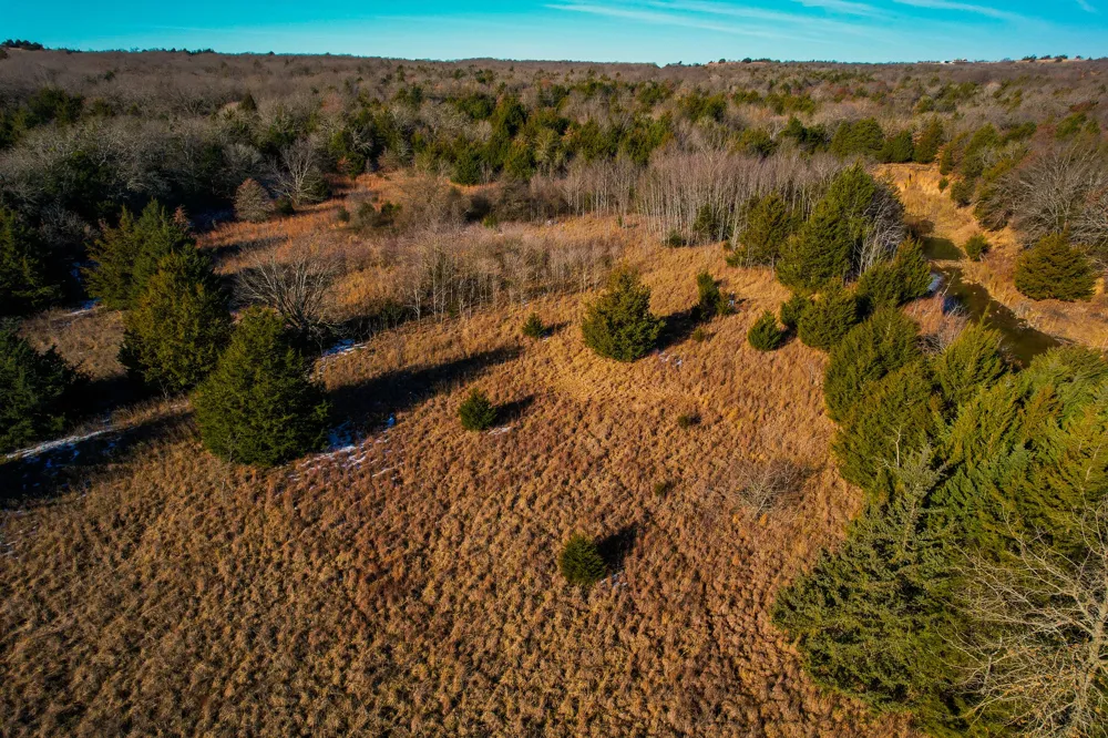 Dye Mound Rd Forestburg, TX 76239