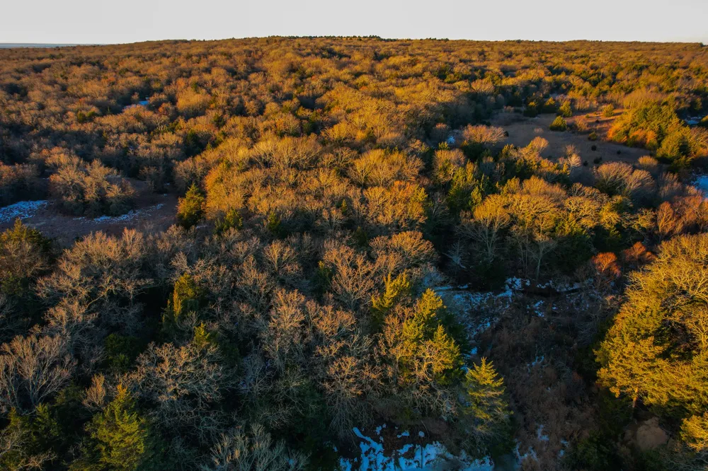 Dye Mound Rd Forestburg, TX 76239