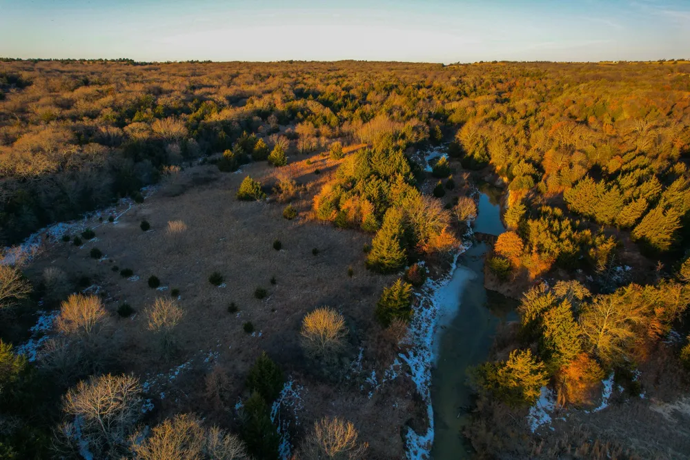 Dye Mound Rd Forestburg, TX 76239