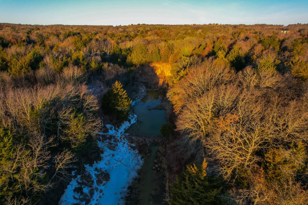 Dye Mound Rd Forestburg, TX 76239