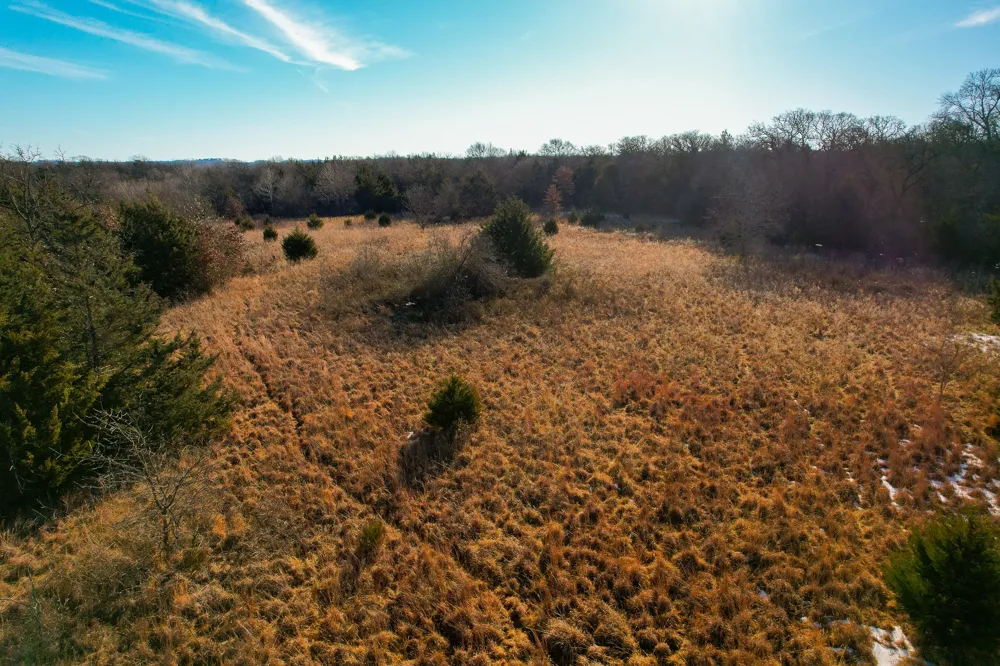 Dye Mound Rd Forestburg, TX 76239