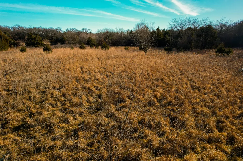 Dye Mound Rd Forestburg, TX 76239