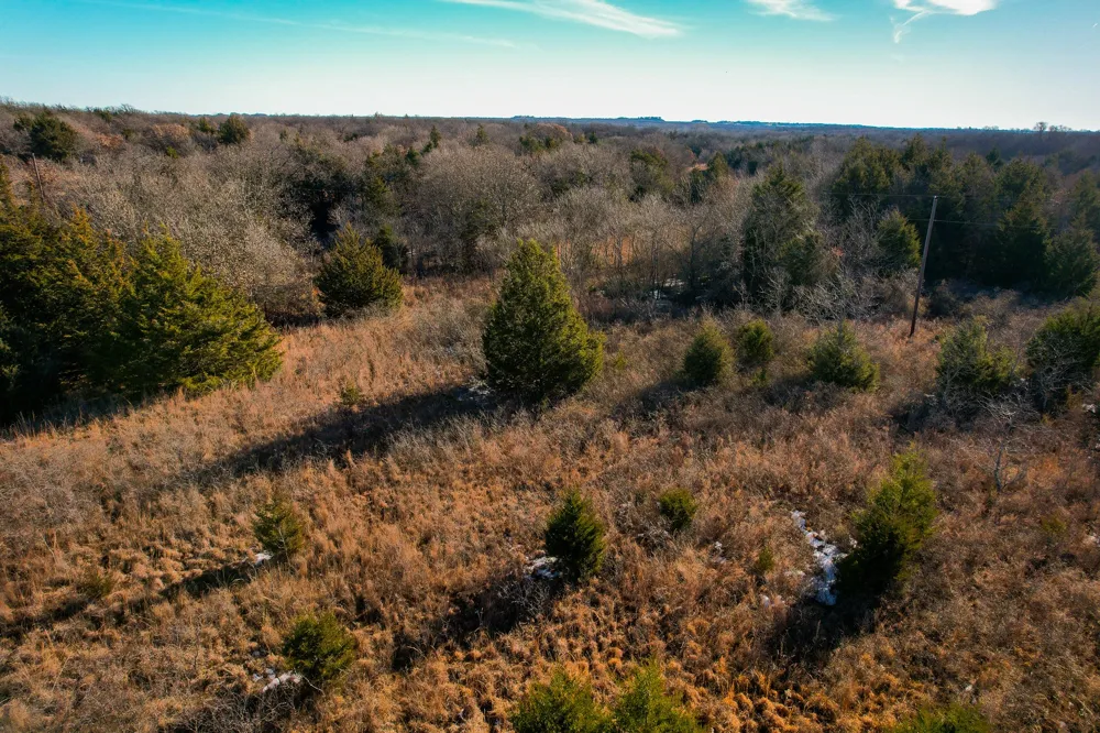 Dye Mound Rd Forestburg, TX 76239