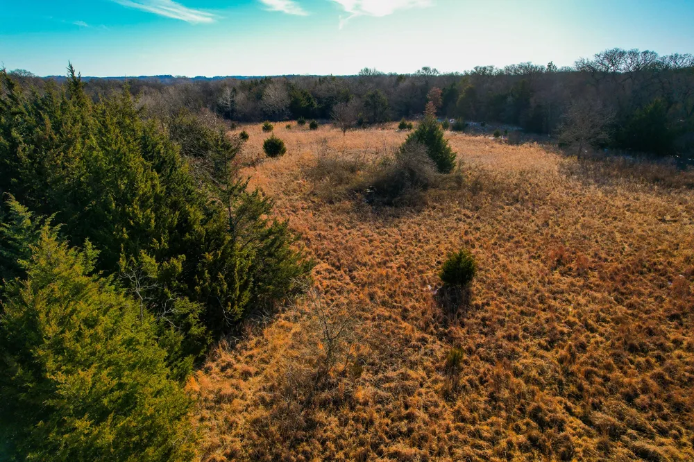 Dye Mound Rd Forestburg, TX 76239