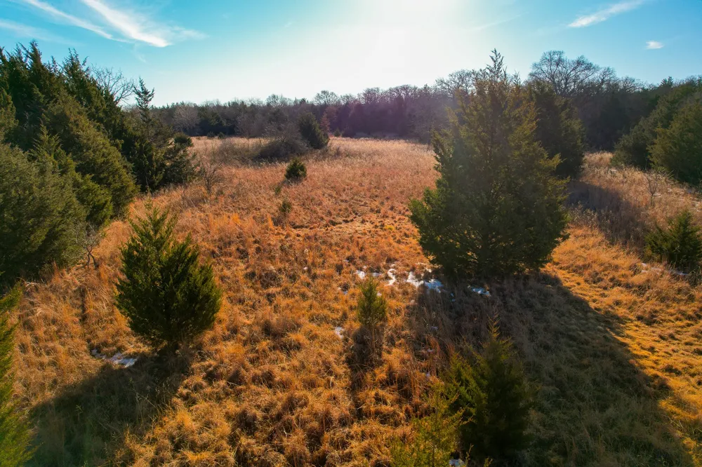 Dye Mound Rd Forestburg, TX 76239