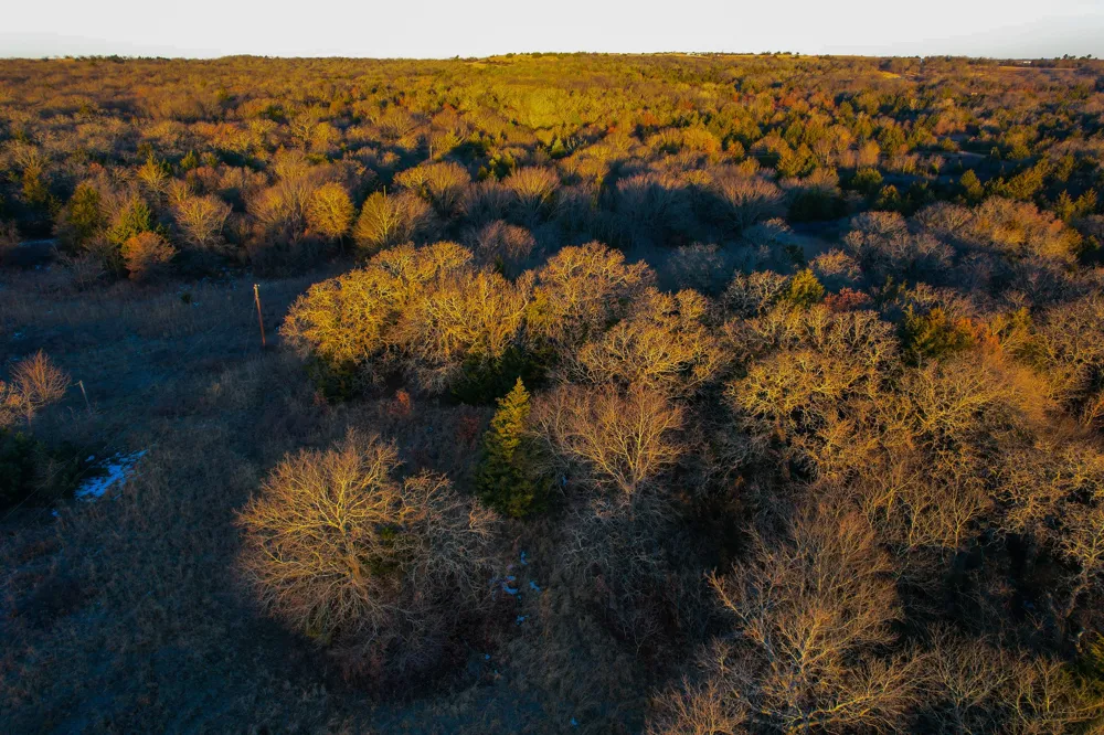 Dye Mound Rd Forestburg, TX 76239