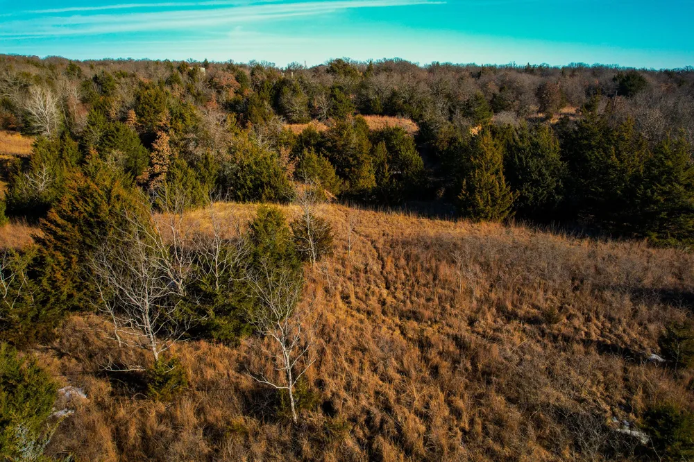 Dye Mound Rd Forestburg, TX 76239