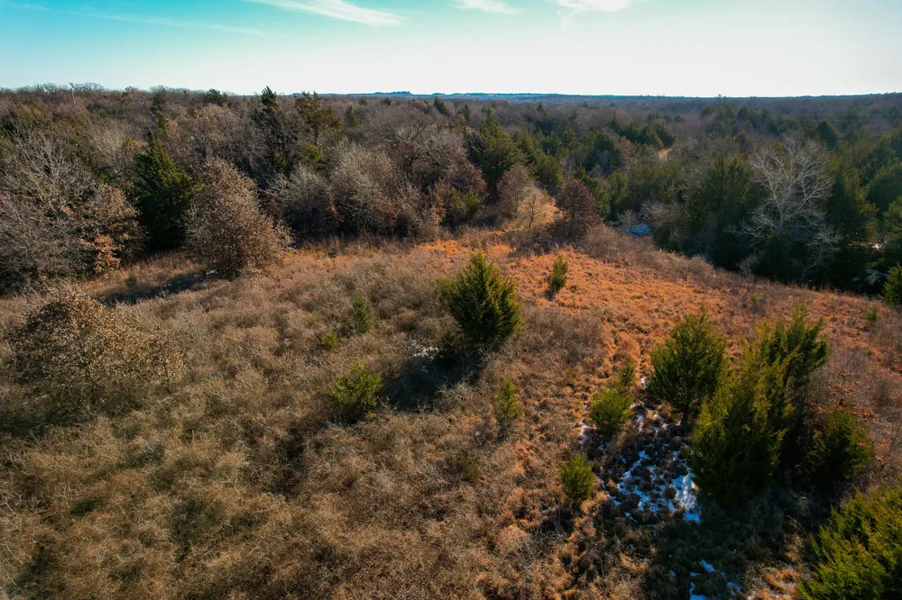Dye Mound Rd Forestburg, TX 76239