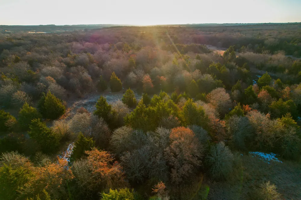 Dye Mound Rd Forestburg, TX 76239