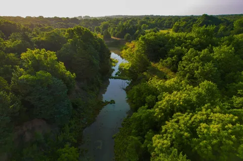 Dye Mound Rd