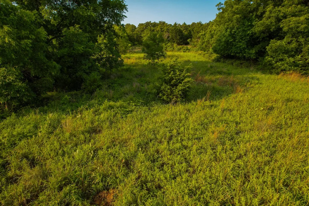 Dye Mound Rd Forestburg, TX 76239