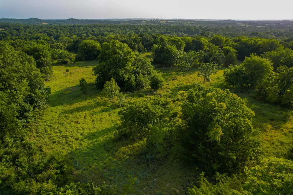 Dye Mound Rd Forestburg, TX 76239