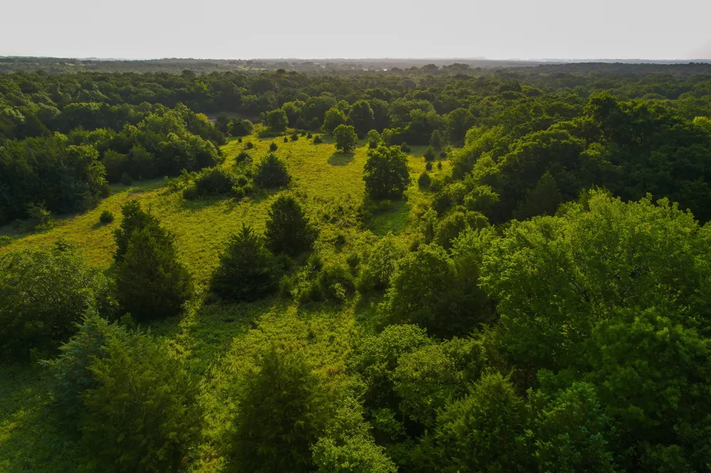 Dye Mound Rd Forestburg, TX 76239