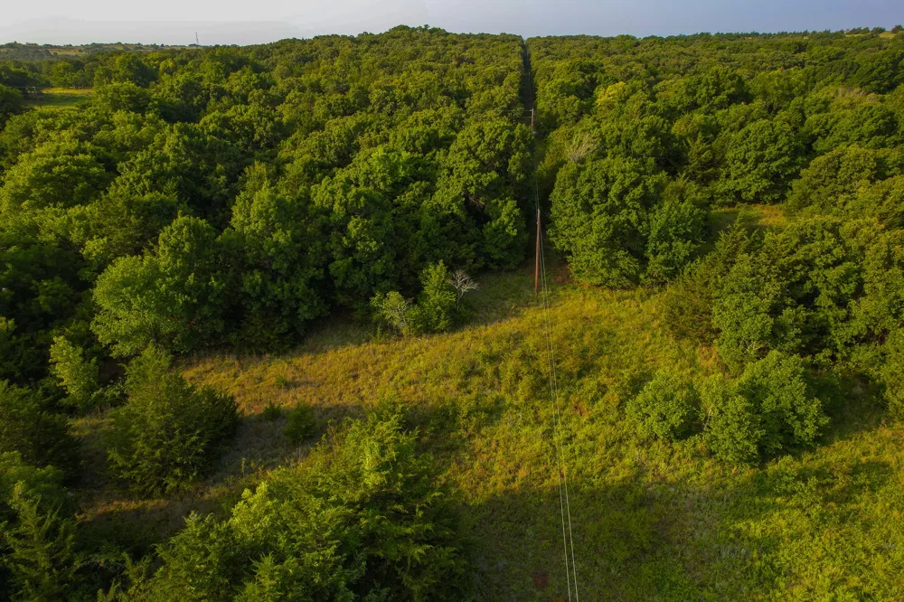 Dye Mound Rd Forestburg, TX 76239