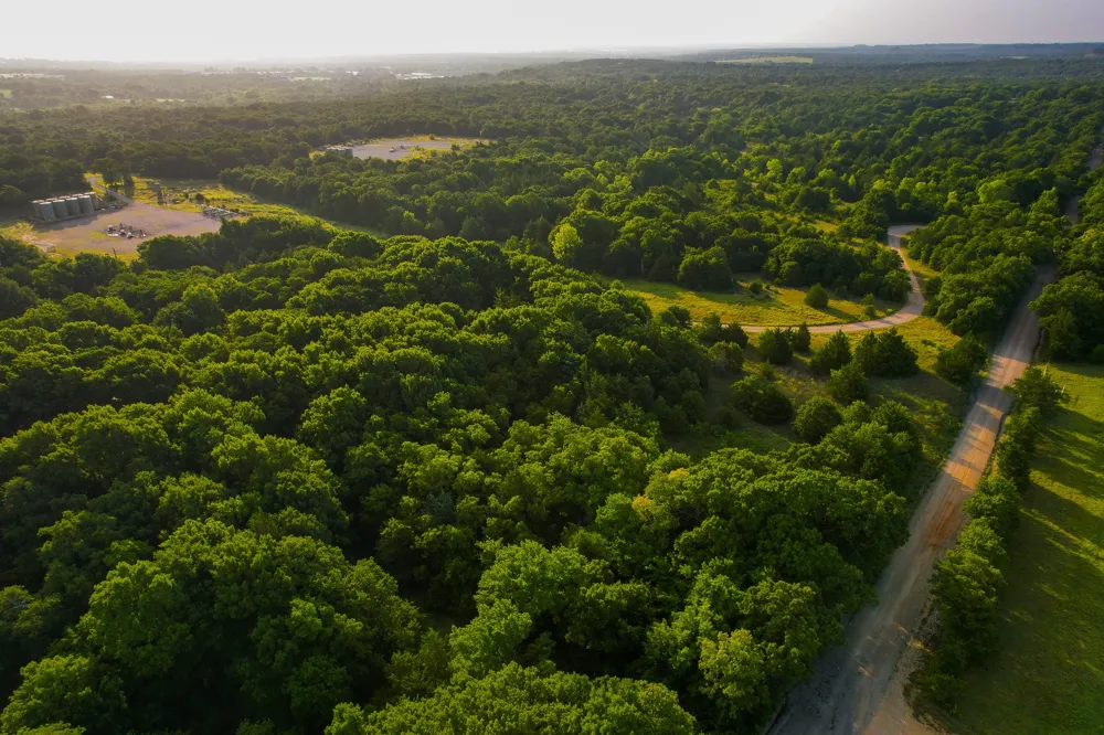 Dye Mound Rd Forestburg, TX 76239