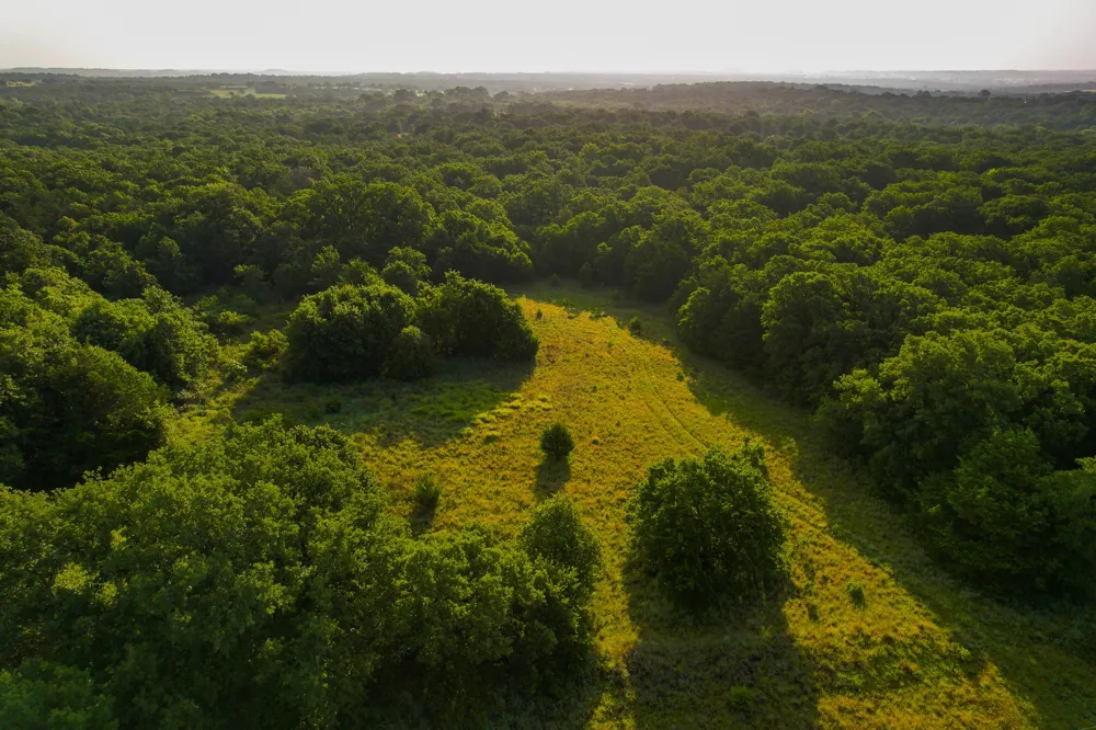 Dye Mound Rd Forestburg, TX 76239