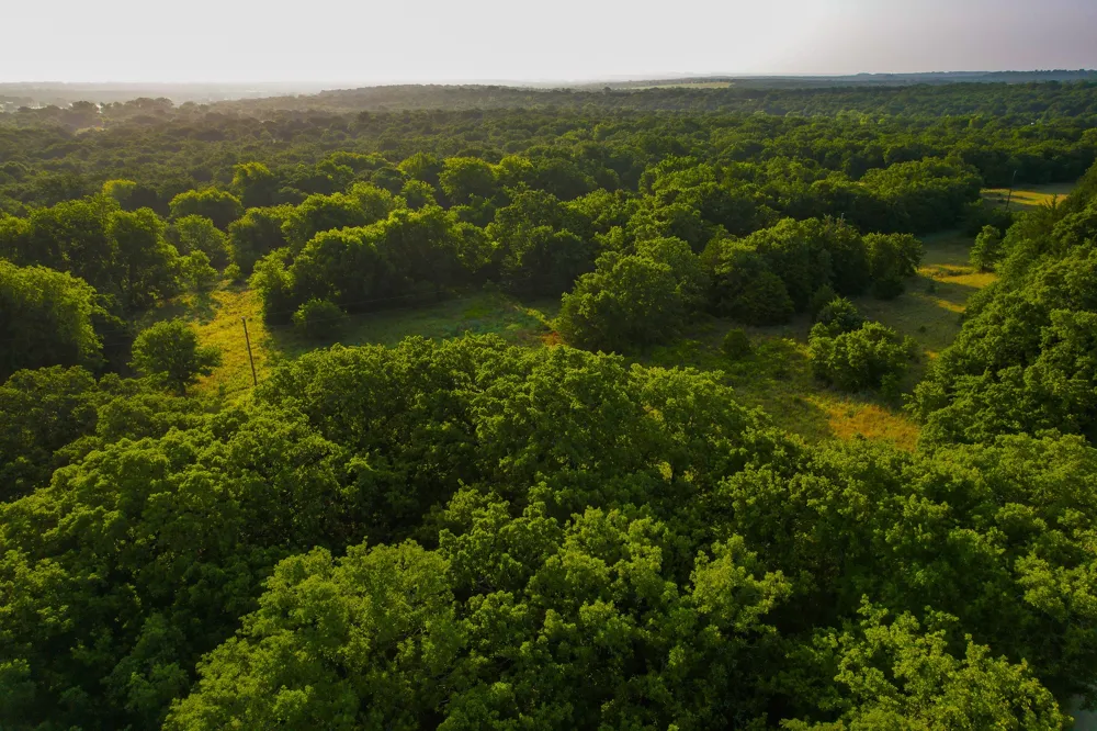 Dye Mound Rd Forestburg, TX 76239