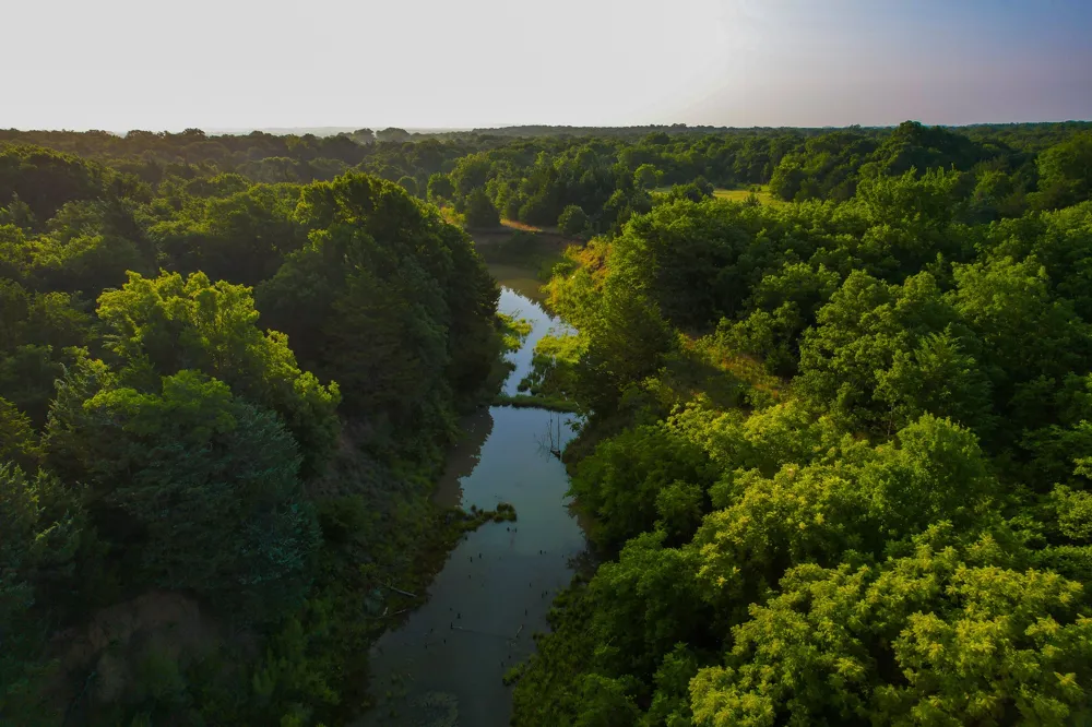 Dye Mound Rd Forestburg, TX 76239