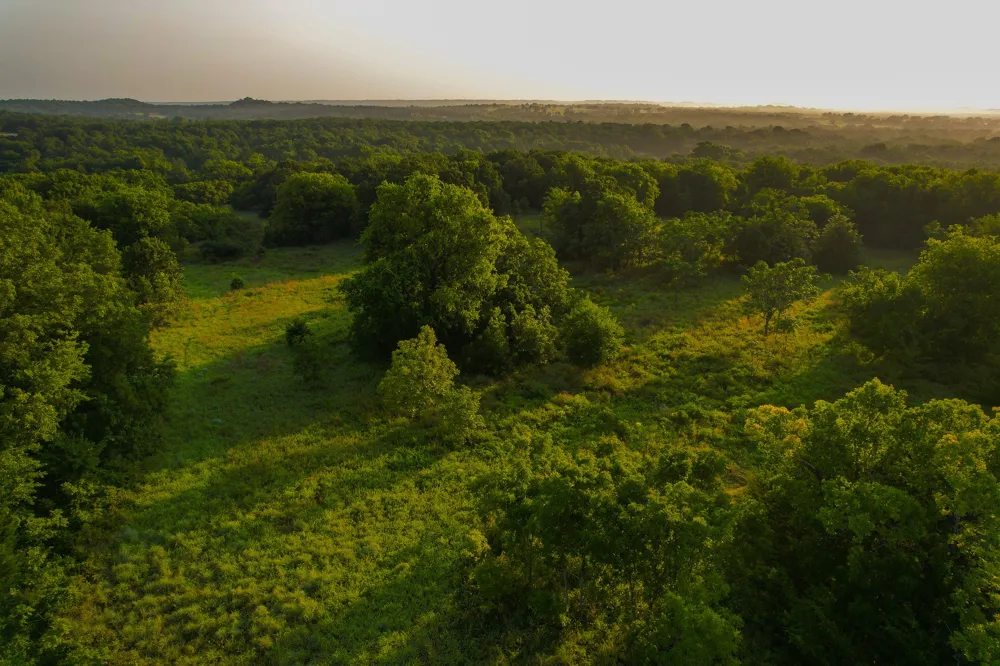 Dye Mound Rd Forestburg, TX 76239