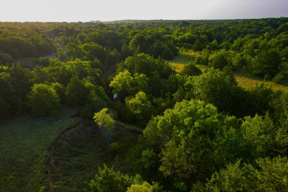 Dye Mound Rd Forestburg, TX 76239