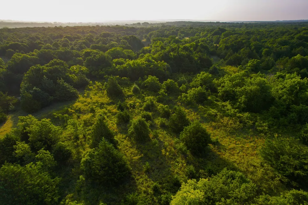 Dye Mound Rd Forestburg, TX 76239