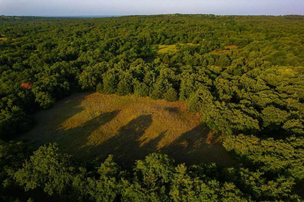 Dye Mound Rd Forestburg, TX 76239