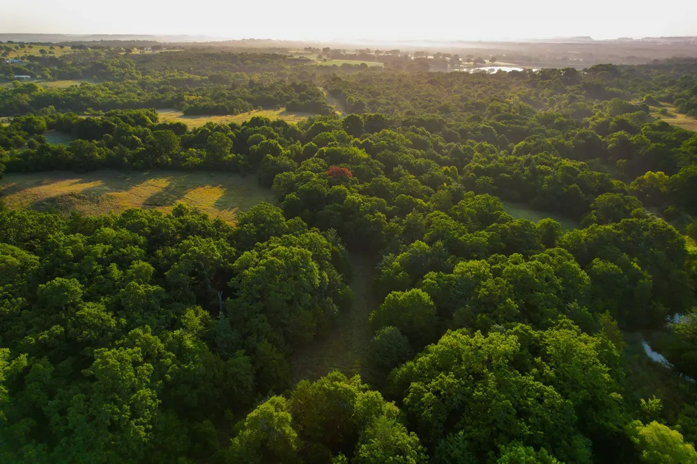 Dye Mound Rd Forestburg, TX 76239