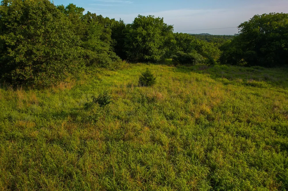 Dye Mound Rd Forestburg, TX 76239