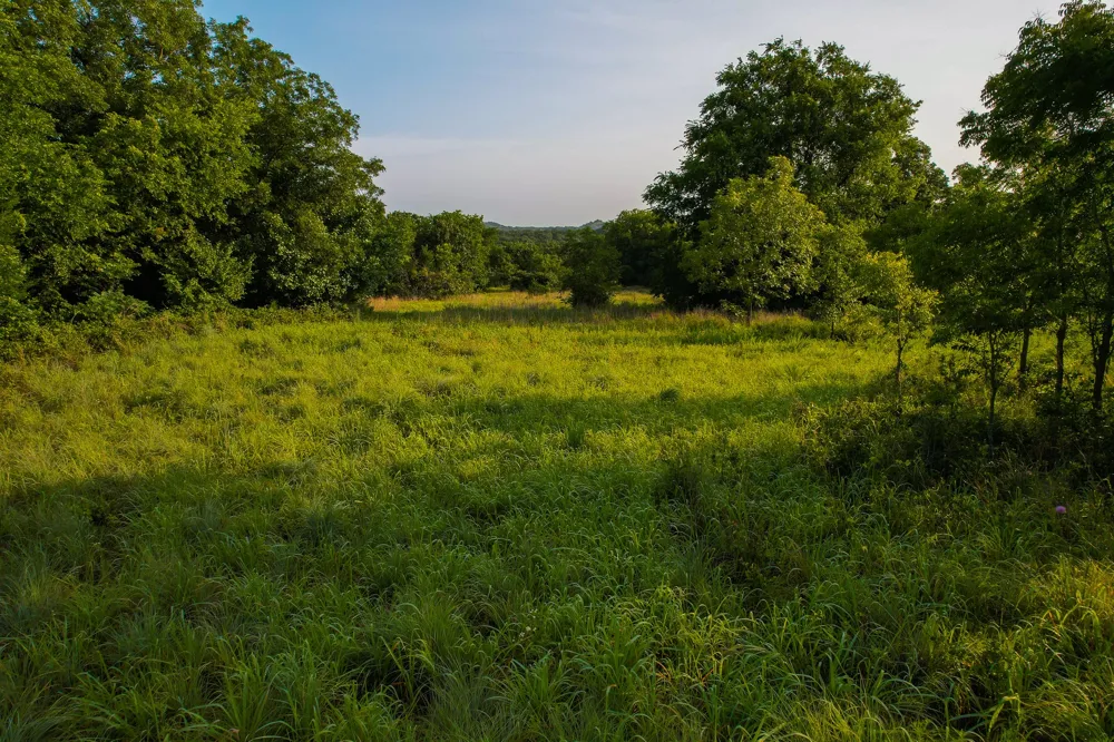 Dye Mound Rd Forestburg, TX 76239