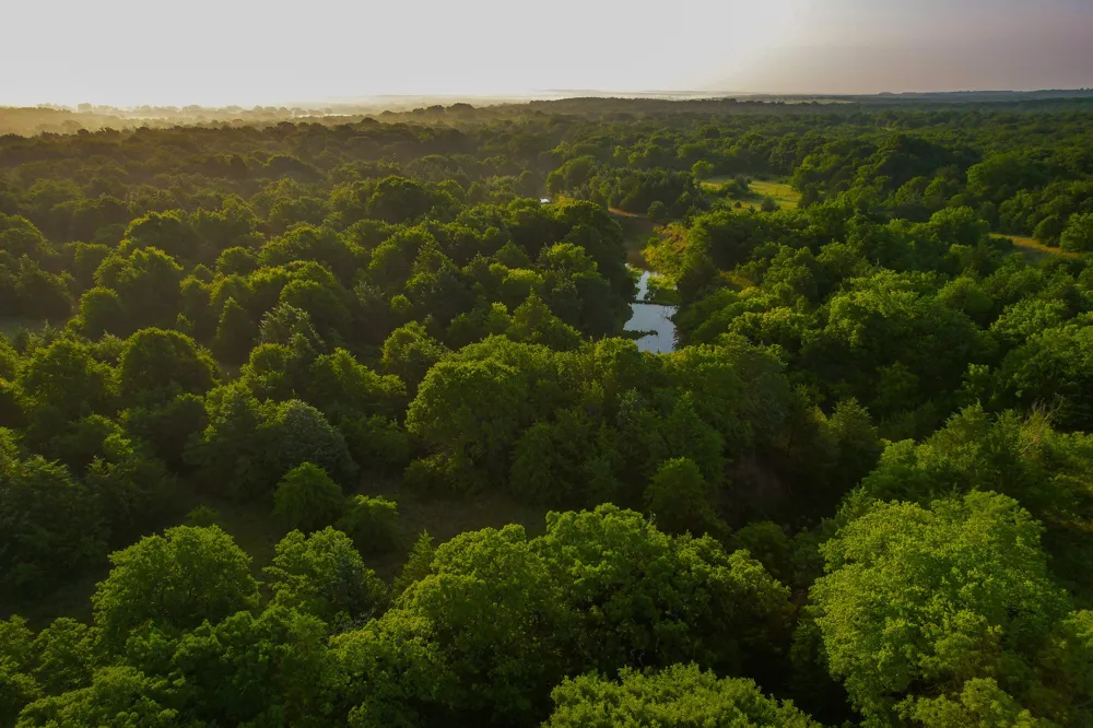 Dye Mound Rd Forestburg, TX 76239