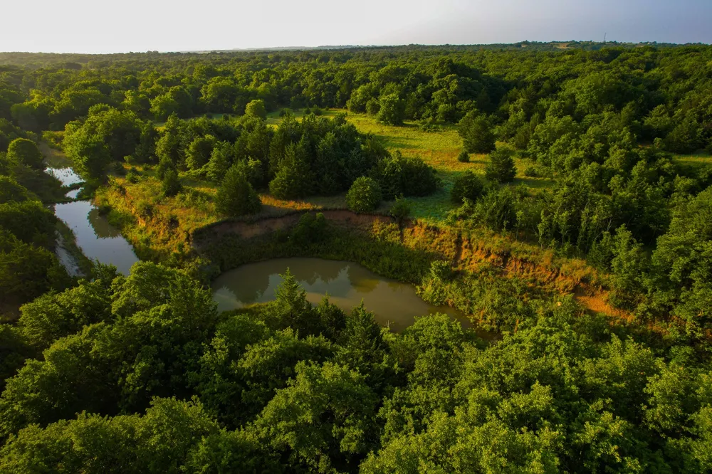 Dye Mound Rd Forestburg, TX 76239