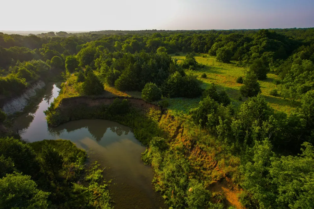 Dye Mound Rd Forestburg, TX 76239