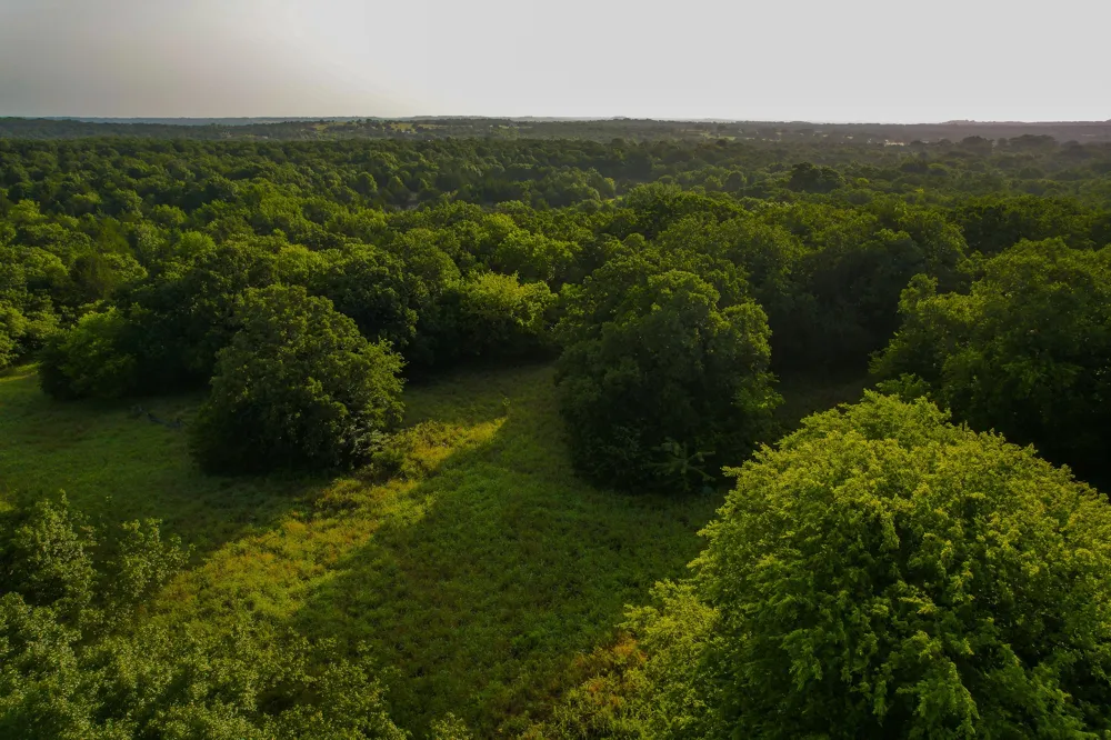 Dye Mound Rd Forestburg, TX 76239