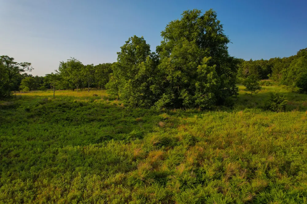 Dye Mound Rd Forestburg, TX 76239