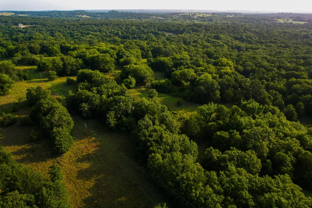 Dye Mound Rd Forestburg, TX 76239