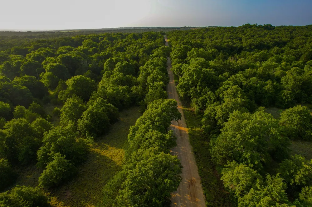 Dye Mound Rd Forestburg, TX 76239