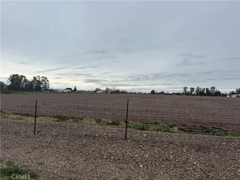 21 Orland, CA 95963