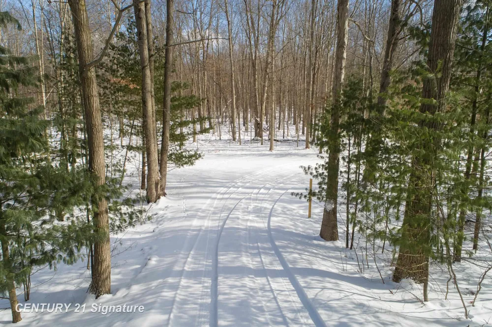 2627 Odyssey Lane Lincoln Township, MI 48642