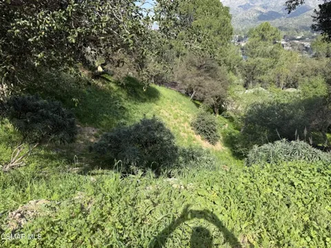 Flora Morgan Trail