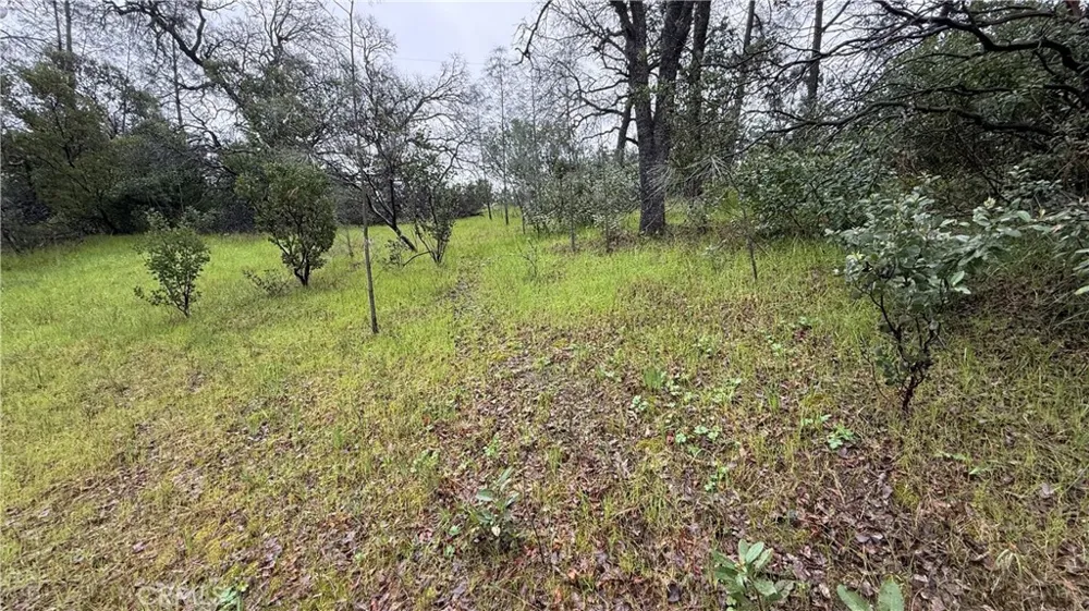16370 Oakridge Road Corning, CA 96021