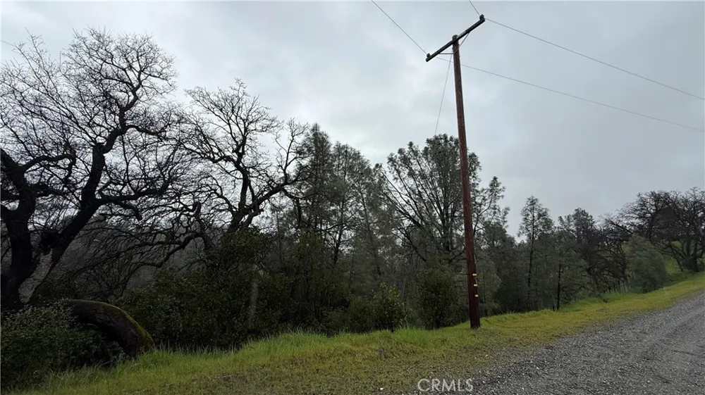 16370 Oakridge Road Corning, CA 96021