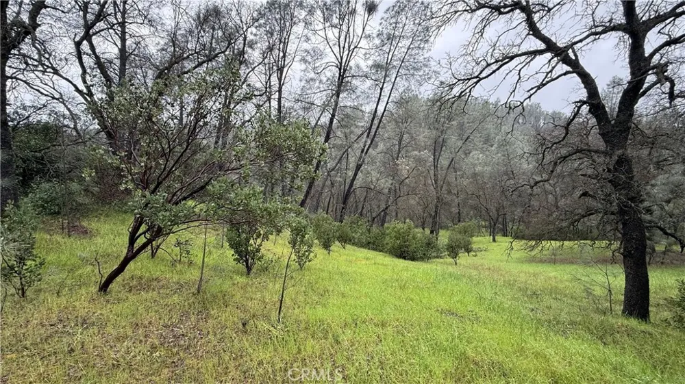 16370 Oakridge Road Corning, CA 96021