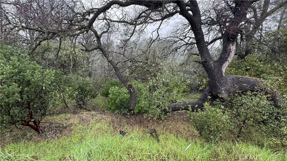 16370 Oakridge Road Corning, CA 96021