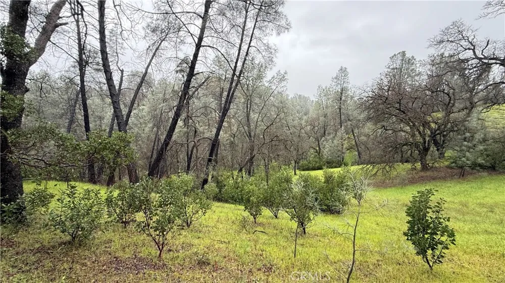 16370 Oakridge Road Corning, CA 96021