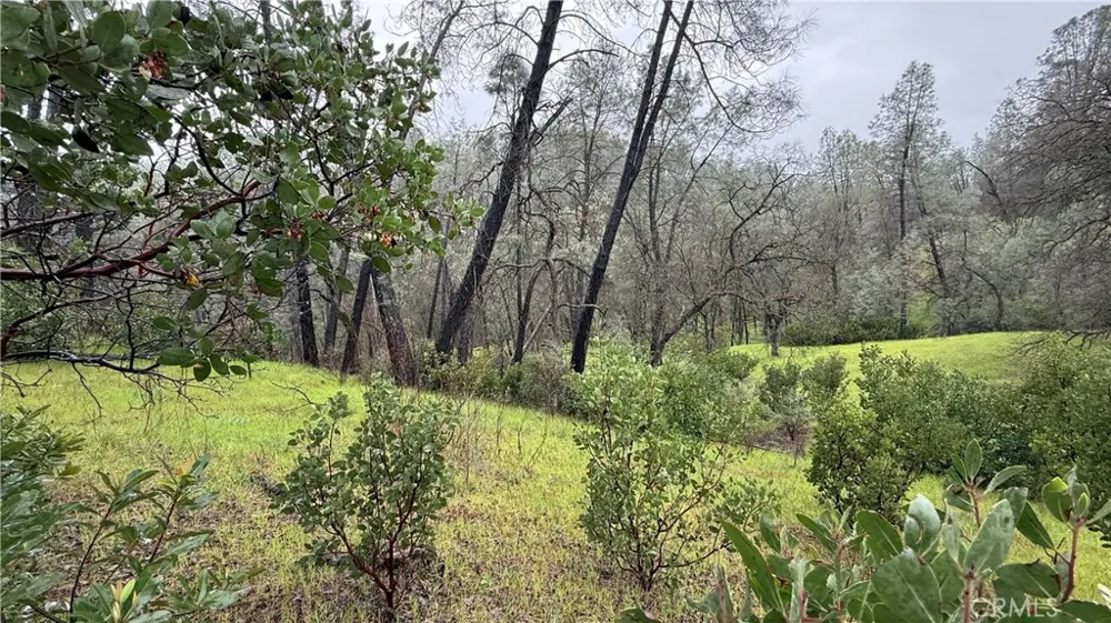 16370 Oakridge Road Corning, CA 96021