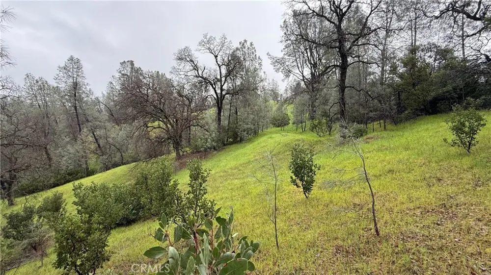 16370 Oakridge Road Corning, CA 96021