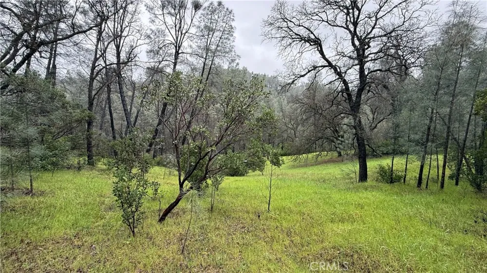 16370 Oakridge Road Corning, CA 96021